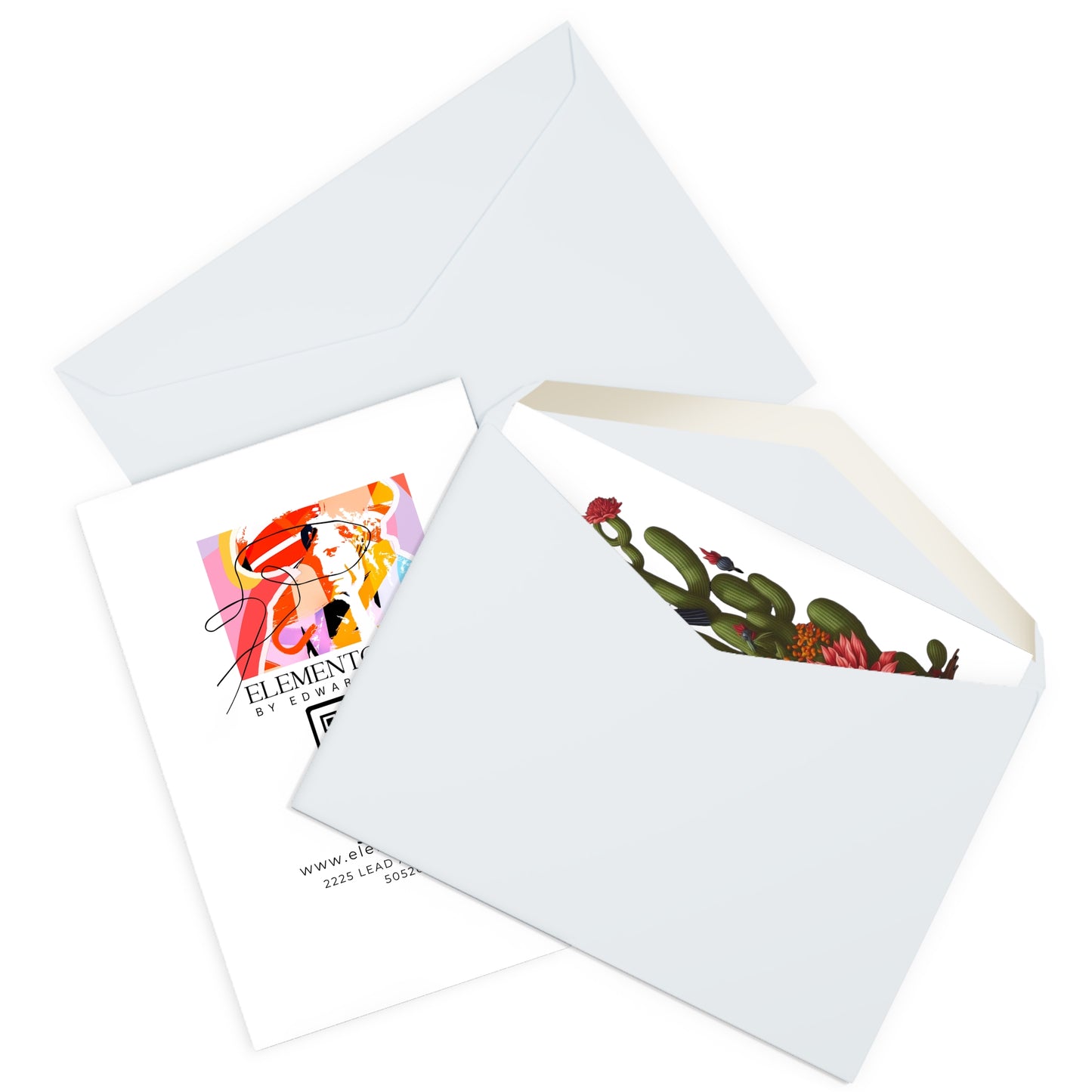 Greeting Cards (5 Pack)-Desert Collection