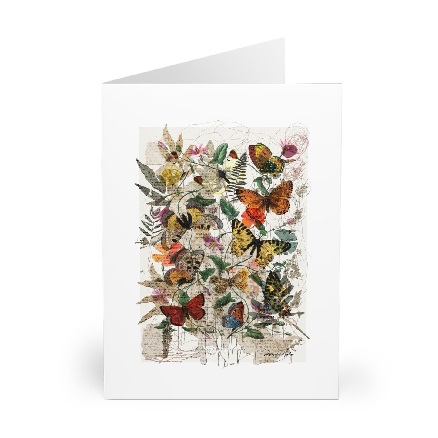 Greeting Cards (5 Pack)