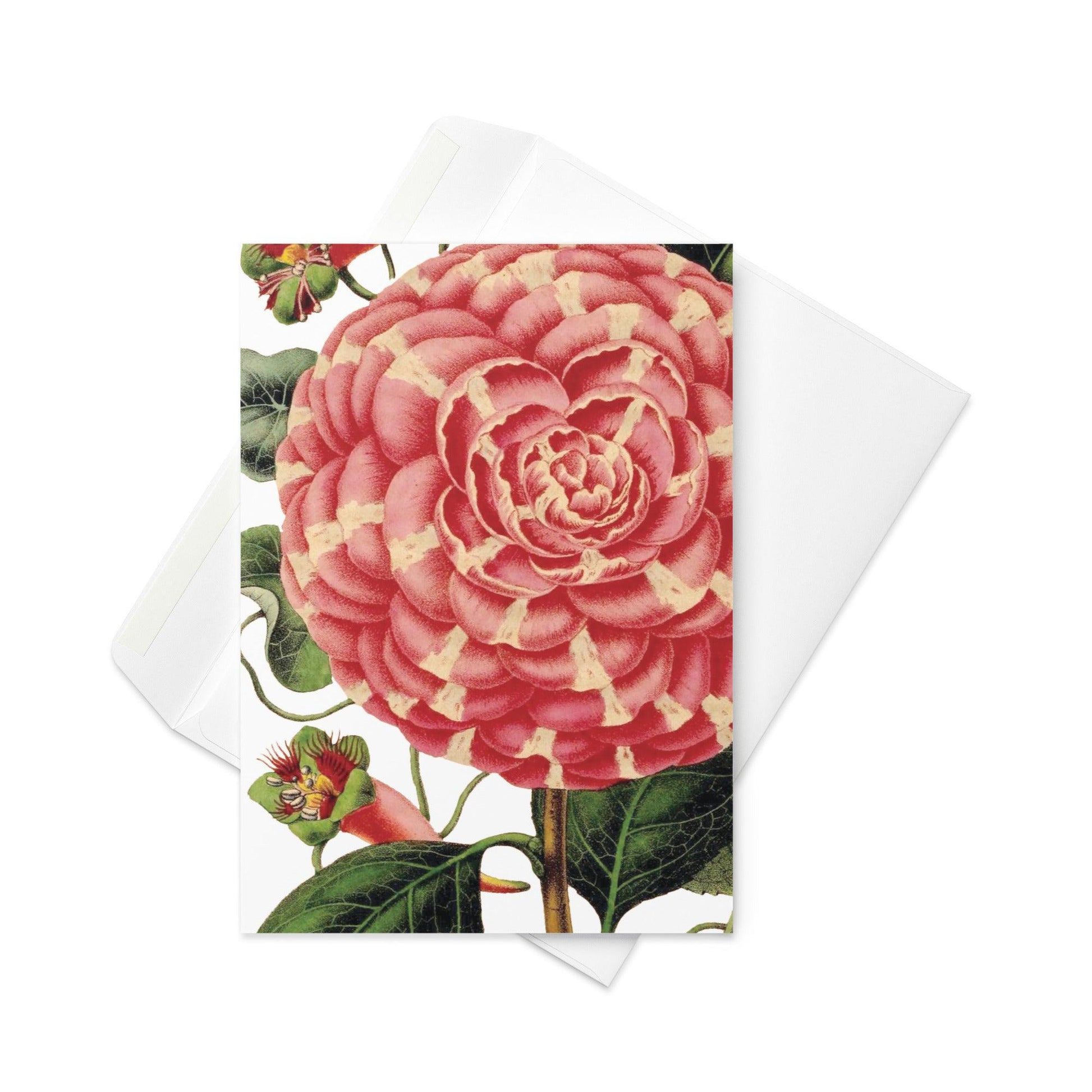 Blank Note Card-Botanical No.2050 - Elementologie