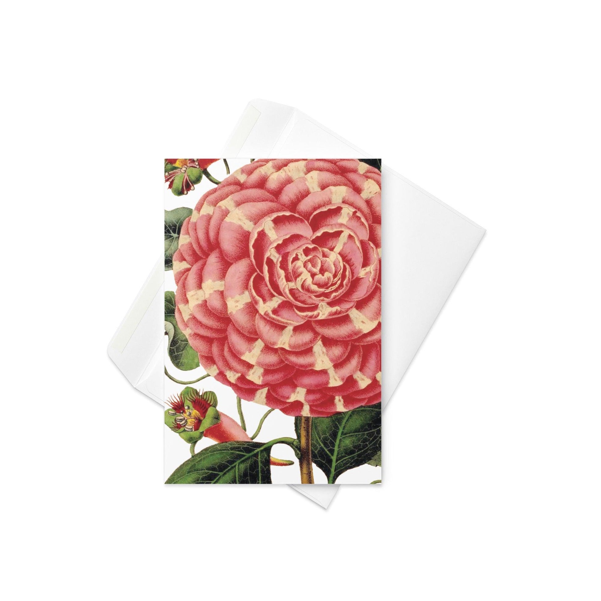 Blank Note Card-Botanical No.2050 - Elementologie