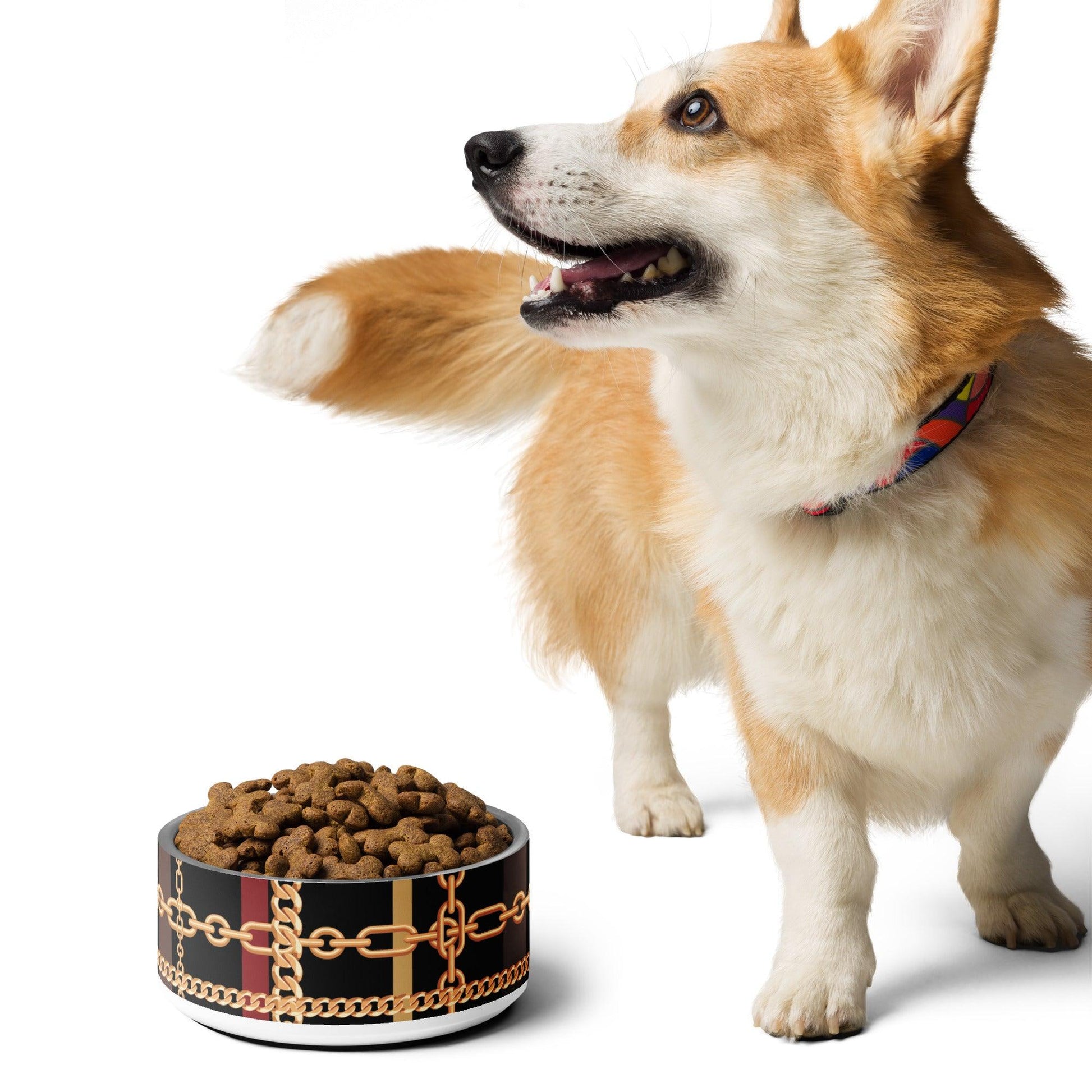 Pet Bowl-Classic - Premium  from Elementologie - Just $35.50! Shop now at Elementologie