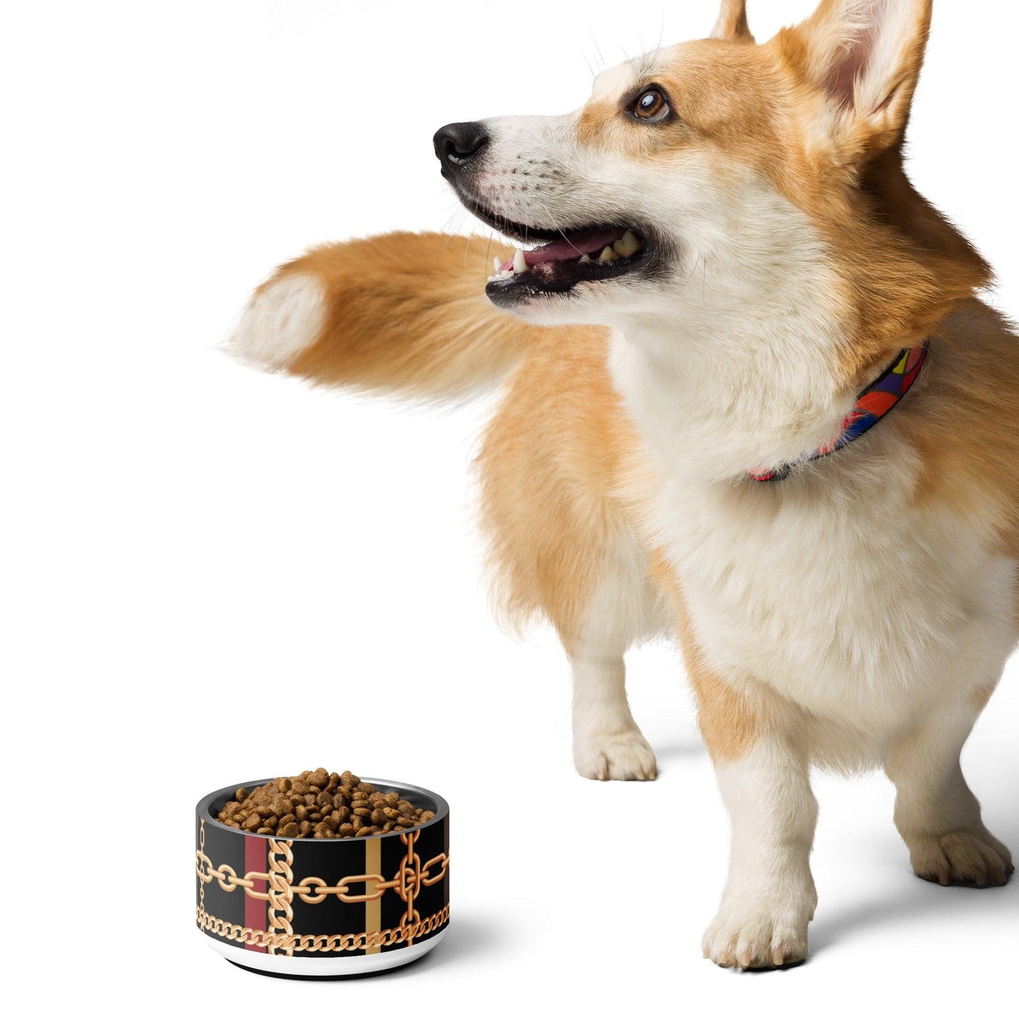 Pet Bowl-Classic - Premium  from Elementologie - Just $35.50! Shop now at Elementologie