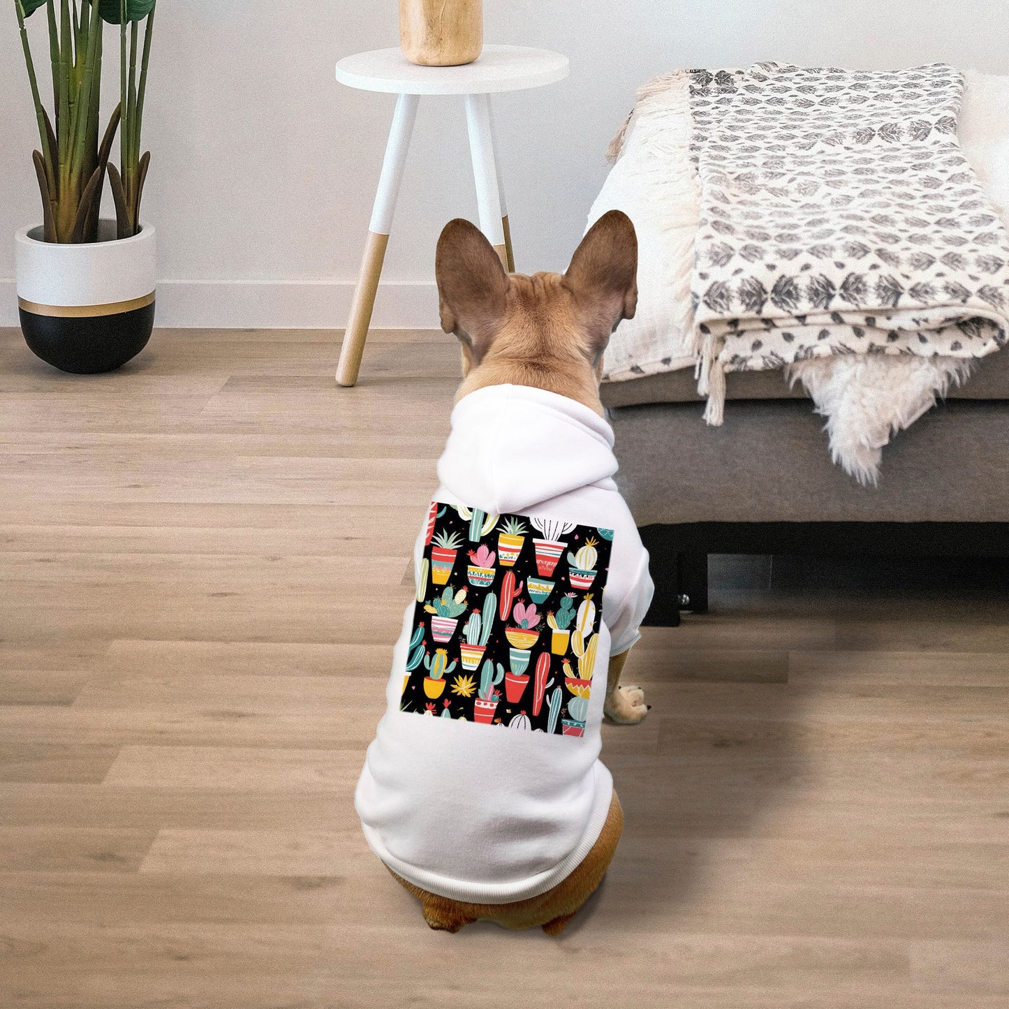 Pet Hoodie -  Small Breed | Blooming Cactus