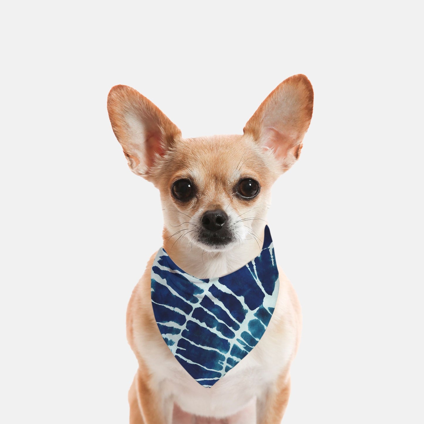 Small Breed Pet Bandana| shibori