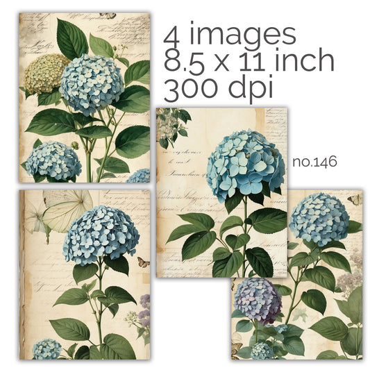 Printable Art Papers | NO. 146 | Instant Downloads |hydrangeas