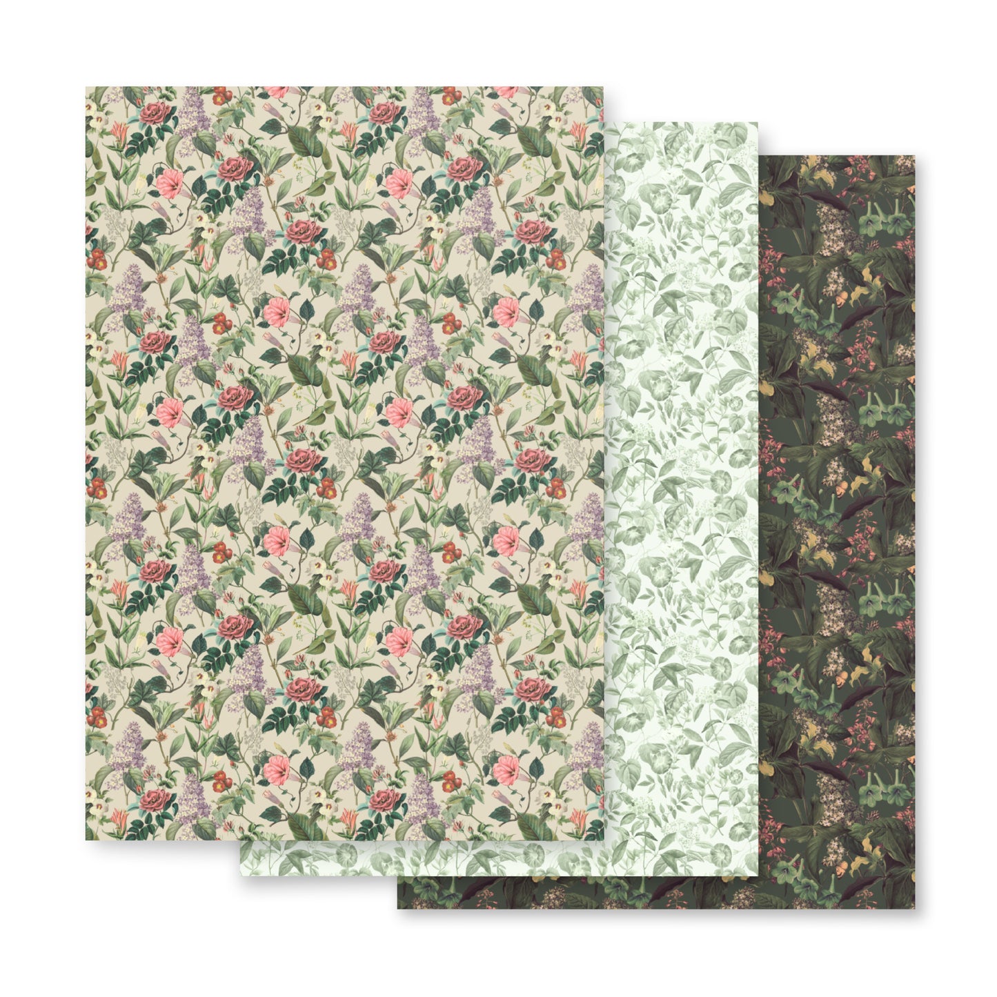 Wrapping Paper Sheets-Botanicals