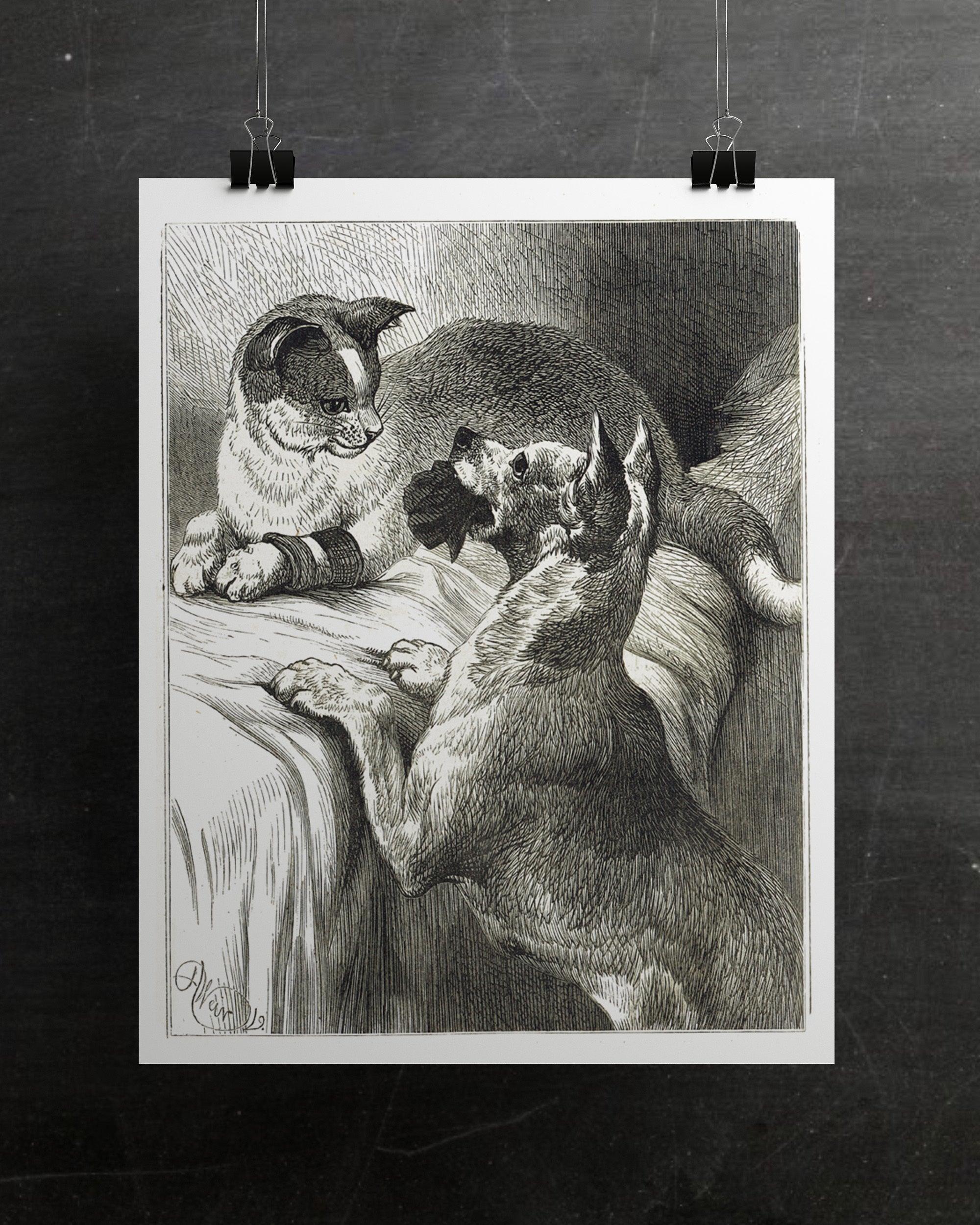 Vintage Cat and Dog Print-No.66350 - Elementologie