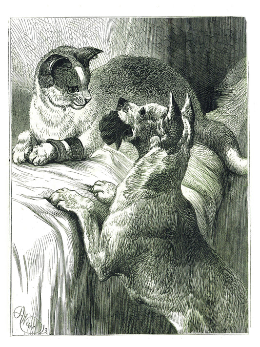 Vintage Cat and Dog Print-No.66350 - Elementologie