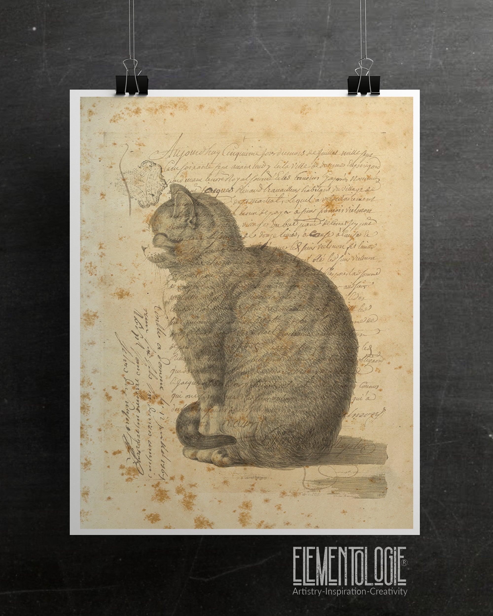 Vintage Cat Collage Print-No.22347 - Elementologie