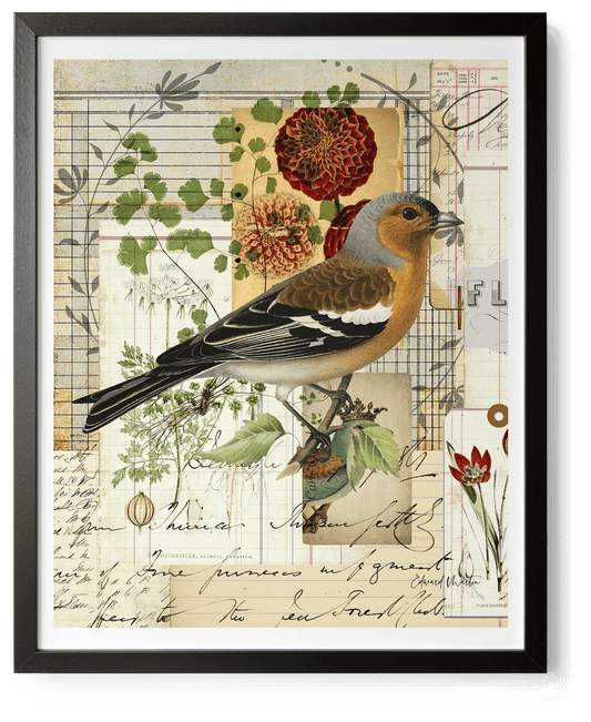 Collage 'Garden Journal No.2' by Edward Martin - Elementologie