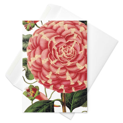 Blank Note Card-Botanical No.2050 - Elementologie