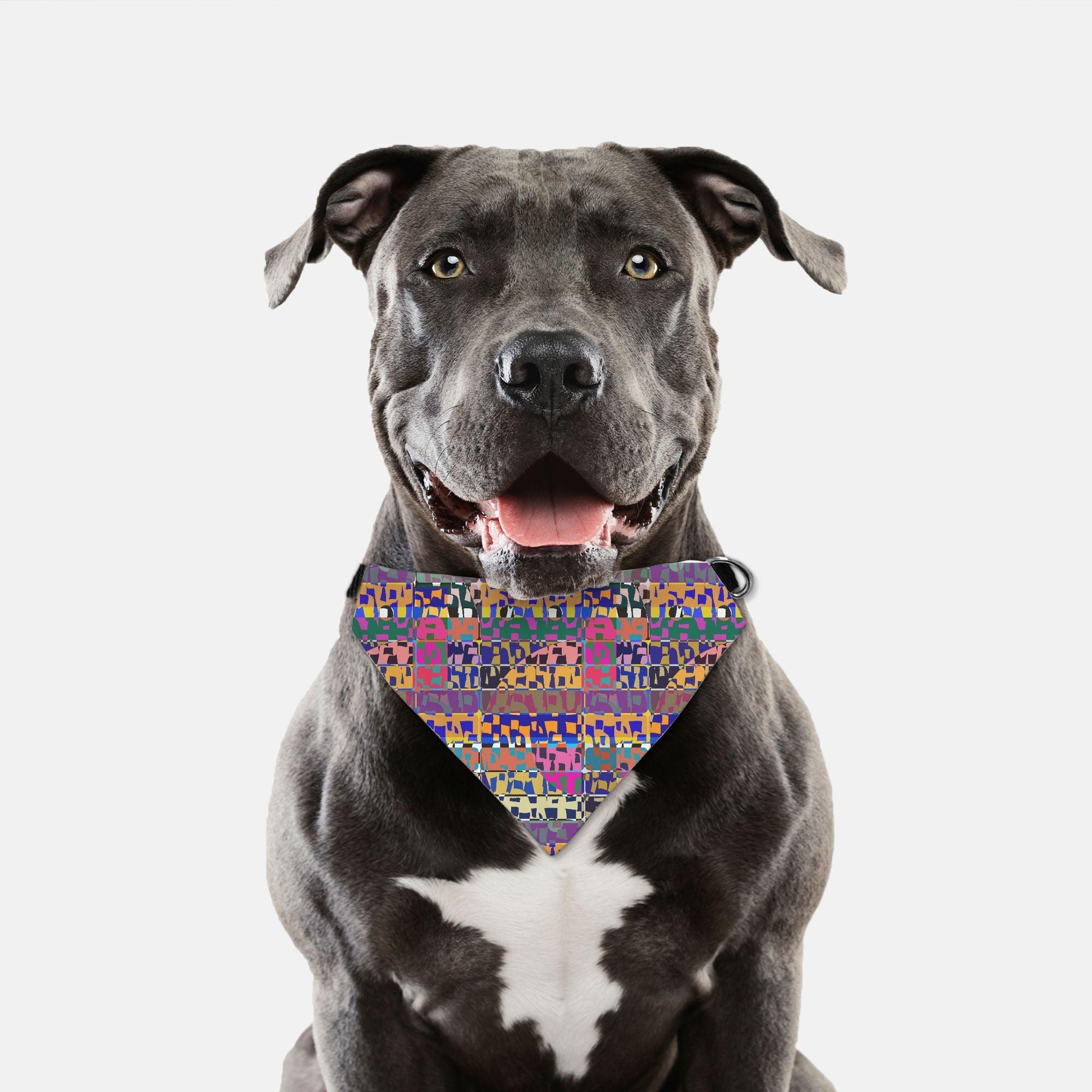 Pet Collar Bandana-Large and XL Dogs-Abstract - Elementologie