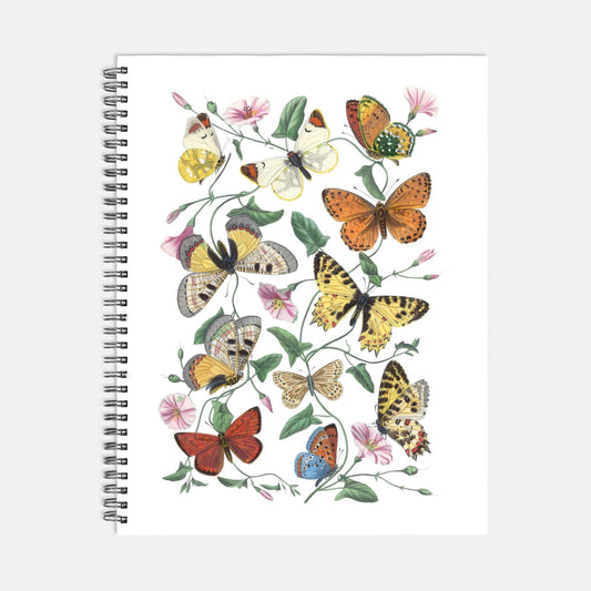 Notebook Hardcover Spiral 8.5 x 11-In Flight - Premium  from Elementologie - Just $22.99! Shop now at Elementologie